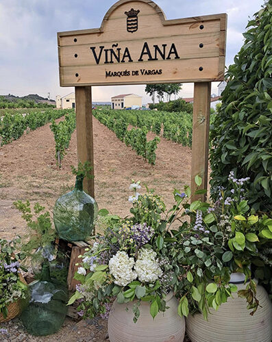 Marqués de Vargas rinde homenaje a la enóloga Ana Barrón dando su nombre a una parcela icónica de la bodega
