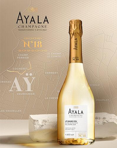 Una sola parcela, 9.998 botellas y una visión excepcional del champagne